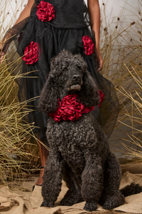 M.A.Dainty First Sight Top Black with Red Roses