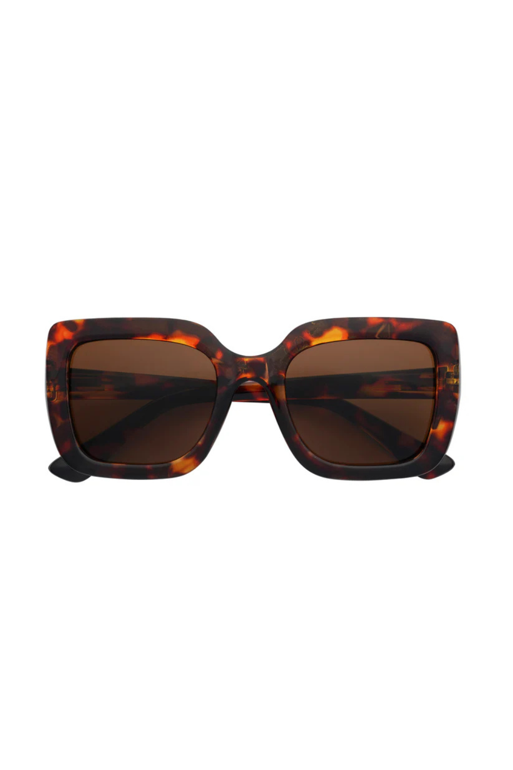 Captivated Eyewear Aria Sunglasses Tortoishell